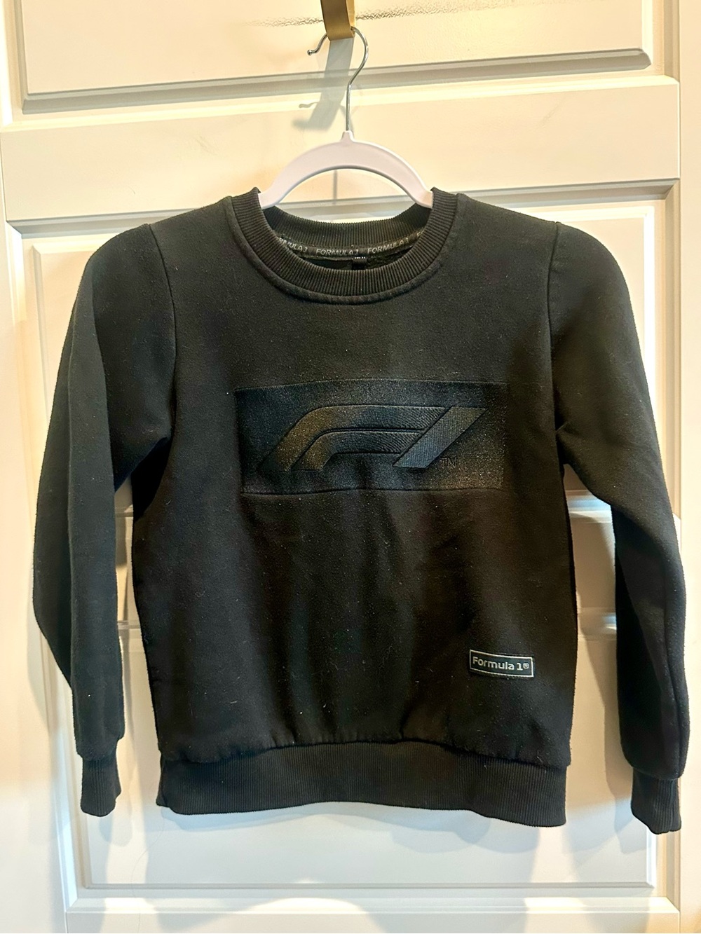 Formula 1 Youth F1 Racing Pullover Sweatshirt